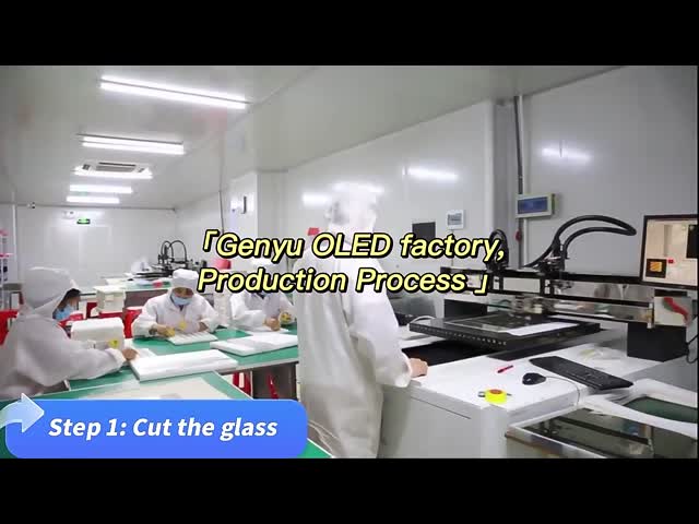 China Shenzhen Genyu Optical Co., Ltd. Perfil da empresa