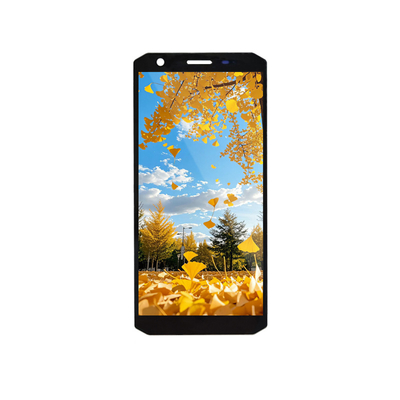 Bom preço. 5.45 Inch TFT LCD Display Module 720x1440 MIPI Interface on-line